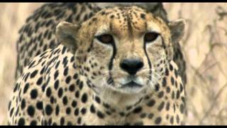 UNSER LEBEN - Trailer