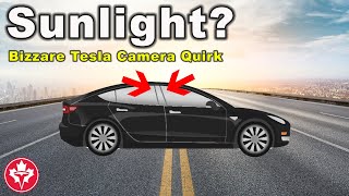 Tesla Model 3 B Pillar Camera Direct Sunlight Issue CONFIRMED