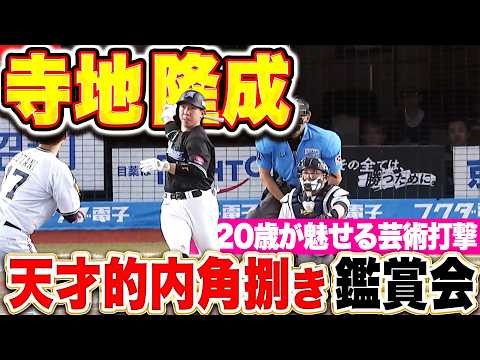 【鑑賞会場はコチラ】寺地隆成『天才的かつ芸術的な“20歳の内角捌き”を堪能する』