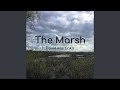 The Marsh