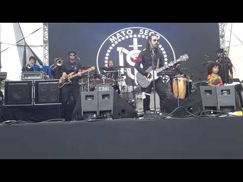 Show  do mato seco em São Miguel Paulista ❤💛💚