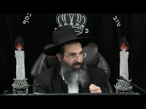 הלכות תלמוד תורה - מד' - עץ חיים היא למחזיקים בה | יורה דעה - סימן רמו | חלק 356 | הרב שי עובד