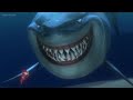 Finding Nemo Meet Bruce