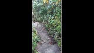 preview picture of video 'Profile Trail to GrandFather Mountain Ladders Part 1'