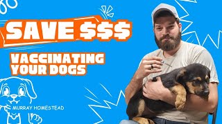 How to Vaccinate Your Dogs at Home!