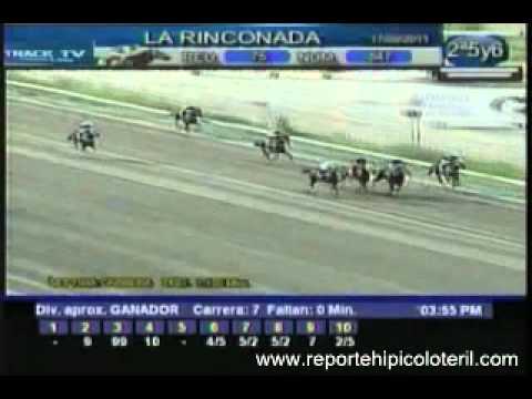 Resumen Sábado 17 de Septiembre de 2011