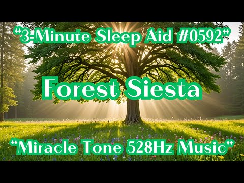 [3-Minute Sleep Aid #0592] Ultimate Rest for Astonishing Healing Effects [Miracle 528Hz]