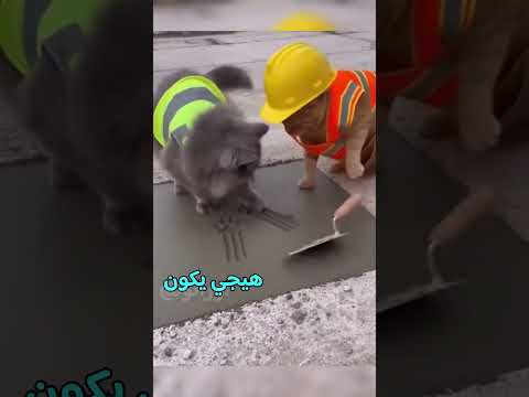 #foryou #العراق #saudiaarbia #دبلجة #fyp خطتنا مال البنيان