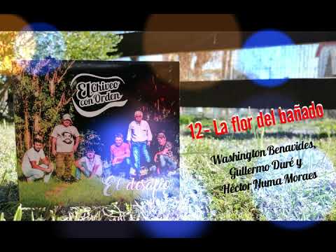 La flor del bañado - El Chiveo con Orden (Washington Benavides, Guillermo Duré y Héctor Numa Moraes)