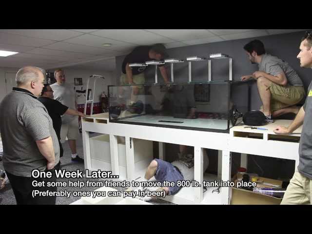 Checkin' out Paul's 240-gallon Custom Reef Tank Build Part I
