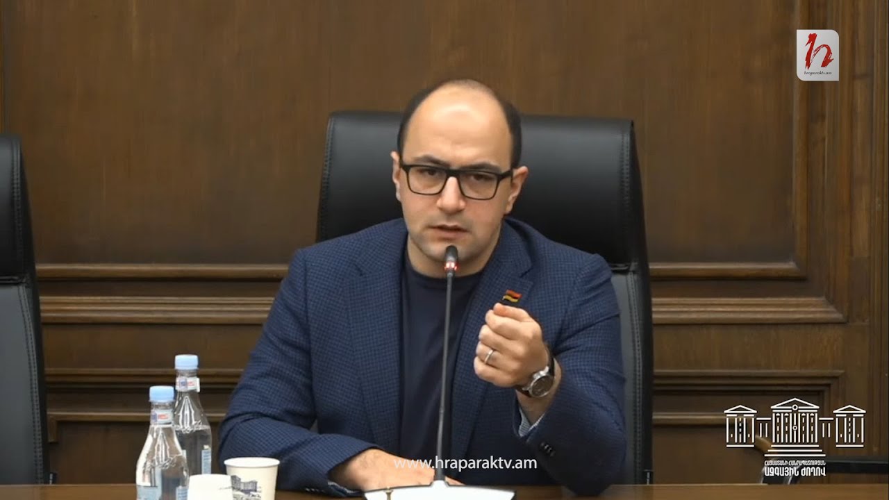 Մեր երկրում կա Նիկոլ Փաշինյան ու Նիկոլ Փաշինյանիկներ. Մամիջանյան