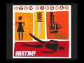 " Train Of Thought " Stan Ridgway / Anatomy Album