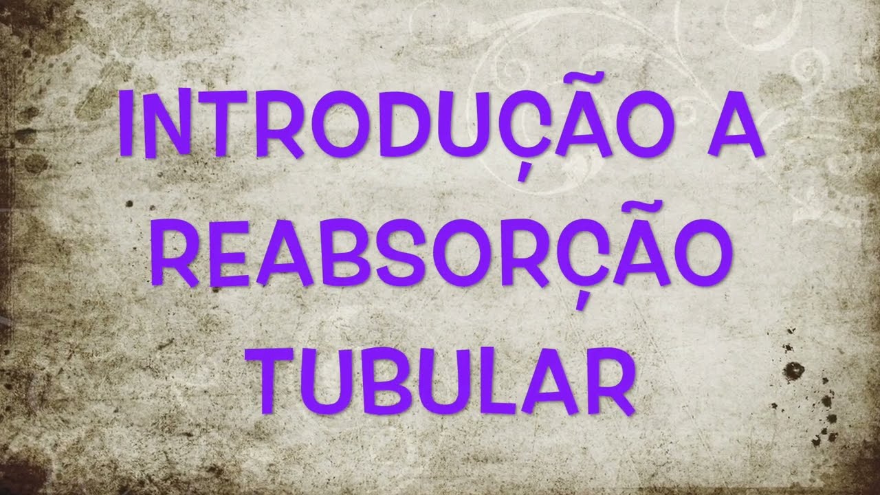 Formação da Urina: Introdução à Reabsorção Tubular