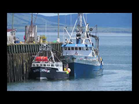 Digby Neck & Islands