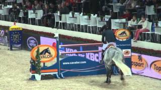 Video of Quincerot van T L
