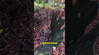 Download lagu Ghost Shield, the Viral Camouflage Gear Making Waves Abroad #shortvideo #facts mp3 Download lagu Ghost Shield, the Viral Camouflage Gear Making Waves Abroad #shortvideo #facts mp3