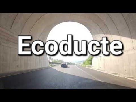 Autostrada Deva Lugoj A1, spre Holdea