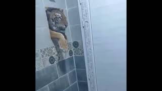 what you will do if you were in bathroom 😲 Bathroom Intruder itemfix