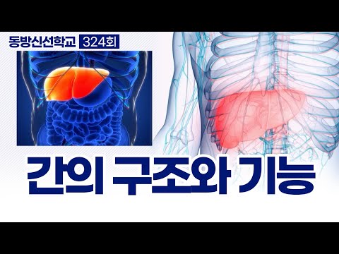 기초(숨) 수행과정