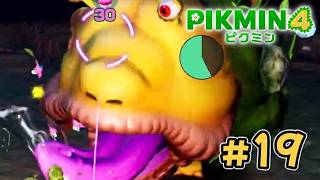 バケモノに苦戦【ピクミン４】#19