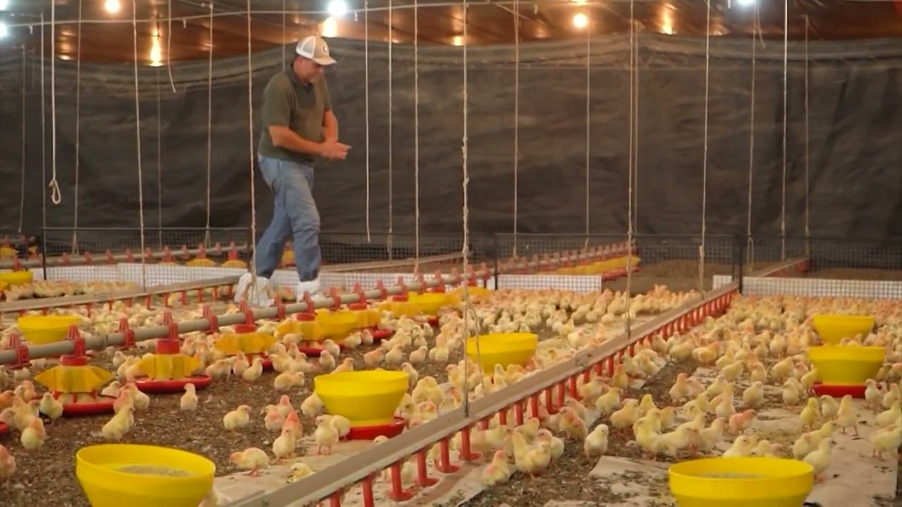 Economia circular transforma fazenda em referência de sustentabilidade