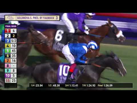 Raqiya (IRE) wins the Goldikova Stakes race 3 at Del Mar 11/2/24