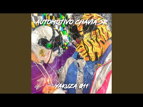 AUTOMOTIVO CHAVIA SP