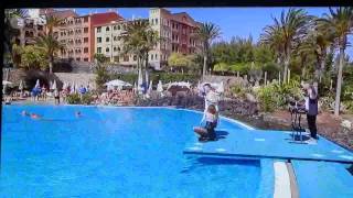 Luca Hänni & Christopher S - I Can't Get No Sleep [ZDF-Fernsehgarten, 20.04.14]