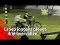 Jongens plegen drie straatroven in één uur | Bureau Brabant
