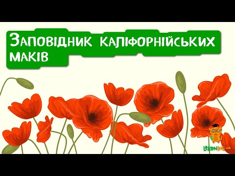 🍀 Дива природи. Явища навколо нас. Заповідник каліфорнійських маків у Долині Антилоп 🌏