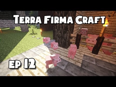 TerraFirmaCraft - #12 - ExtraFirma Stuff