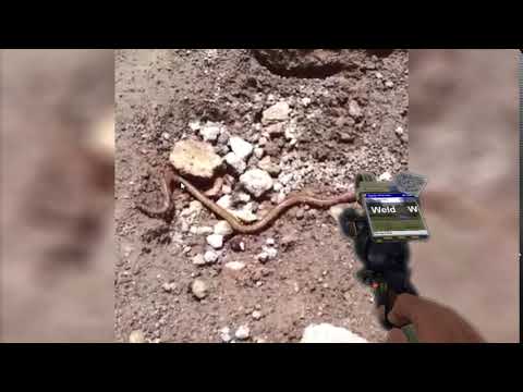 Worm spazzing out but it's Gmod