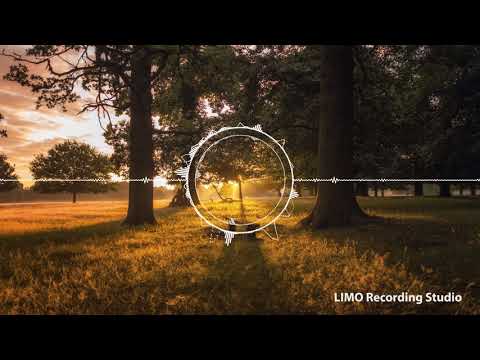 A Bitter Love - Sven Karlsson feat. Sara Pumphrey