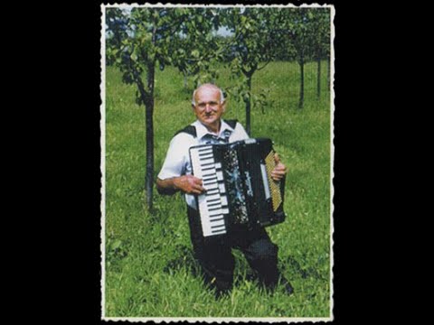 Živadin Kojić Žića - Kada moja mladost prođe (uživo)