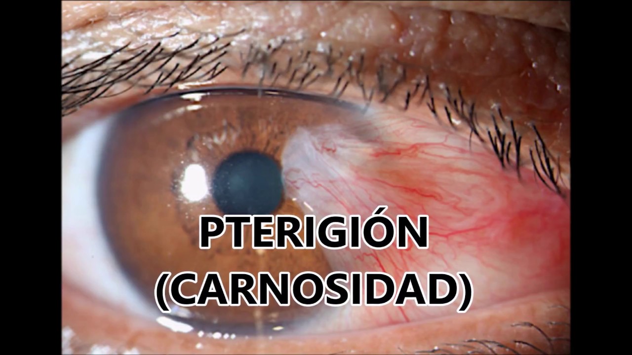 Sergio Rivera Guerra-8