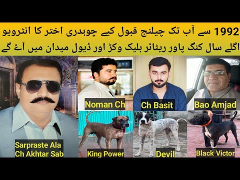 Pakistani Top Class Bully Breed Dog Name King Power Black Victor And Devil Owner Ch Akhtar Gagomandi