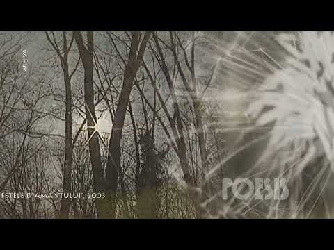 Poesis: Florian Pittiş – Împotriva cuvintelor de Nichita Stănescu (@Arhiva TVR)