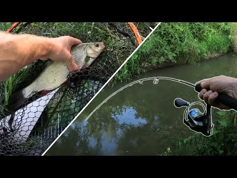 FISH OF LIFE AND LOTS OF PERCH! LIGHT SPINNING ON A WILD RIVER!