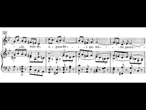 Agnus Dei (Mass in B Minor - J.S. Bach) Score Animation