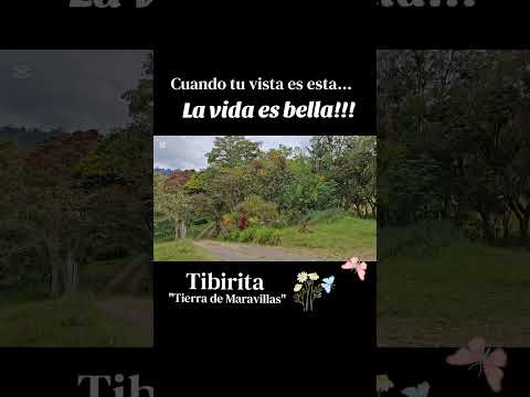 La vida es bella cuando se disfruta de lugares como este: Tibirita "Tierra de Maravillas"🥰🌻🦋🐓
