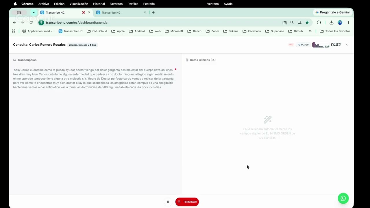 Video demo preview
