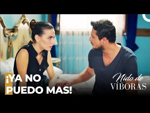 ¡Nagme Se Convirtió En Víctima De Sus Celos! - Nido De Víboras