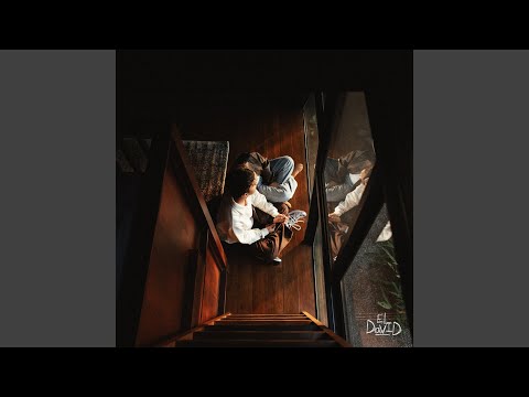 Si Hubiera Forma - El David