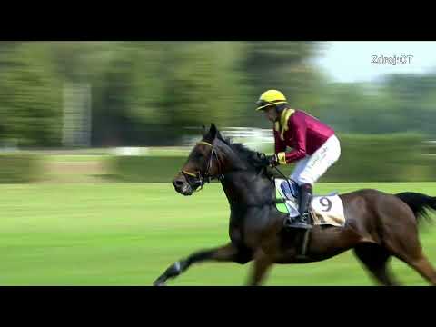 16. 8. 2025 - 2. dostih - POHÁR BICZ HOLDING 2025