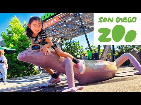 Kids Fun at the San Diego Zoo