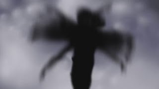 Nine Inch Nails  - God Break Down The Door (Music Video)