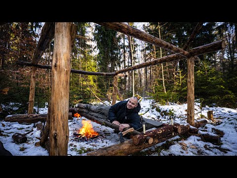 1 Nacht im Schnee beim Waldhaus - Ich baue das beste Survival Bett!