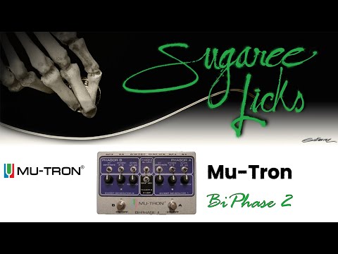 Mu-Tron Bi-Phase II Dual Phase Shifter Limited Edition Black | Reverb