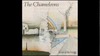 THE CHAMELEONS - Here Today
