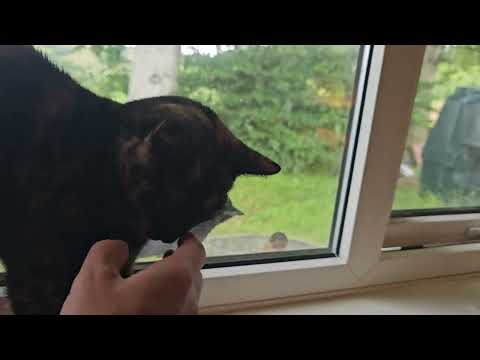 Delia & Edred - 10 July 2024